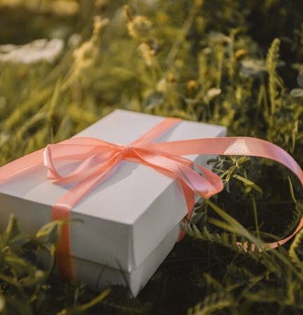 Какой подарок директору