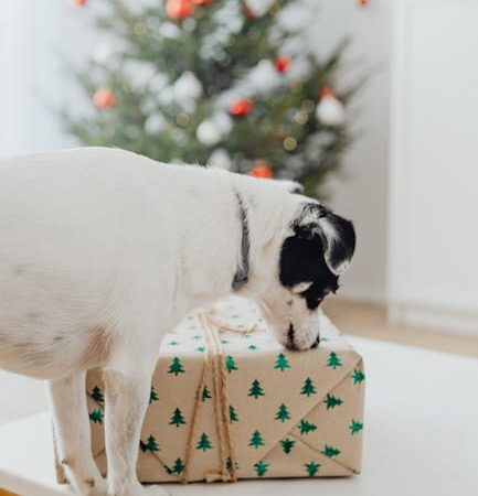 Купи подарок онлайн