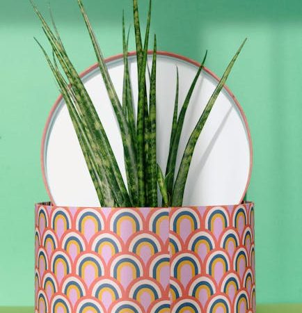 Какой подарок подарить на день отца