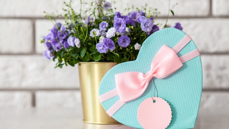 Акция подарок покупателю