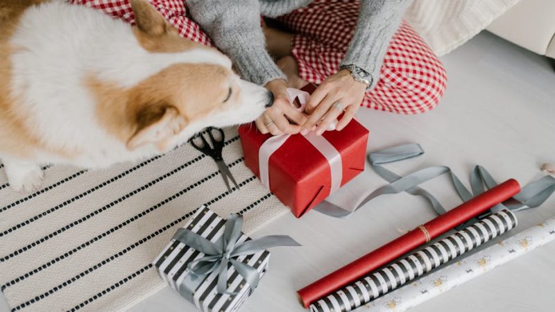 Лучший подарок другу купить