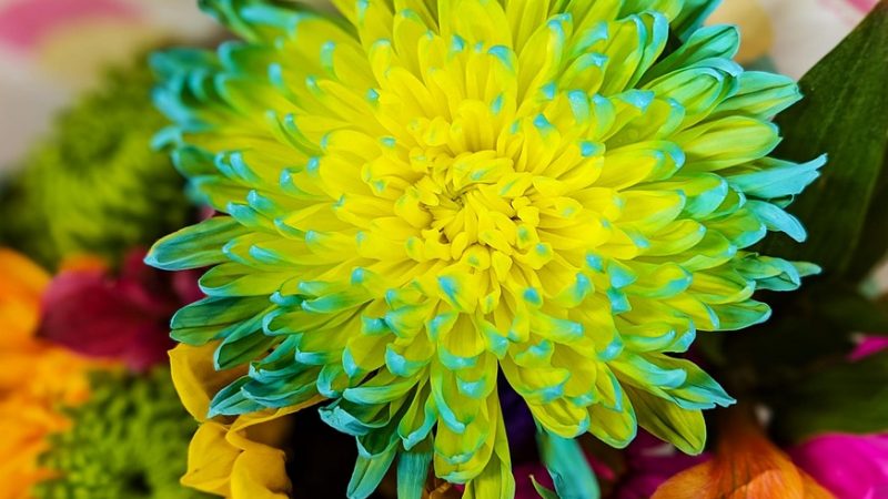 21 год день рождения что подарить