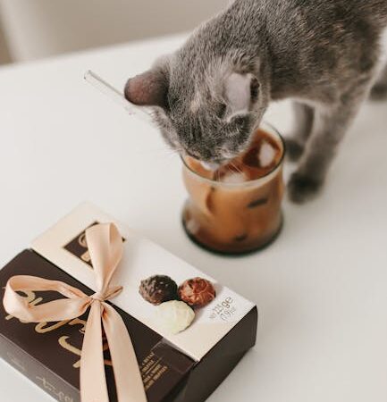 Что подарить на 46 лет