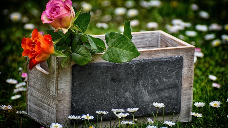 Что можно подарить на 13 лет