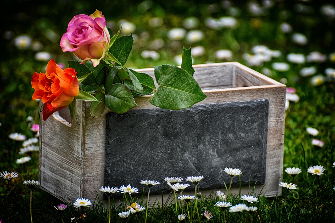 Что можно подарить на 13 лет