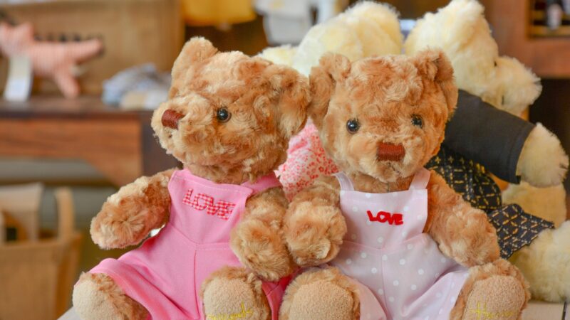 Что подарить свете